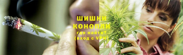 apvp Алексин