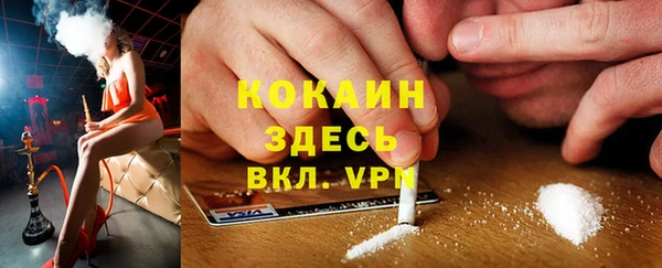 apvp Алексин