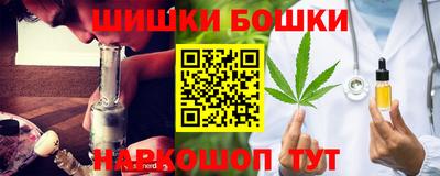 индика Аша