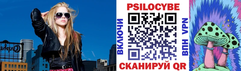 Псилоцибиновые грибы MAGIC MUSHROOMS  маркетплейс состав  Домодедово  как найти закладки 