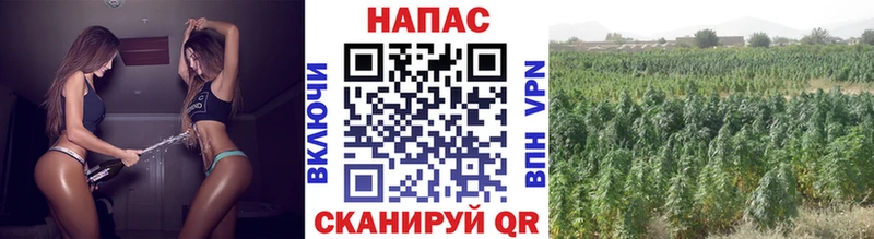 MEGA зеркало Домодедово МАРИХУАНА White Widow закладка